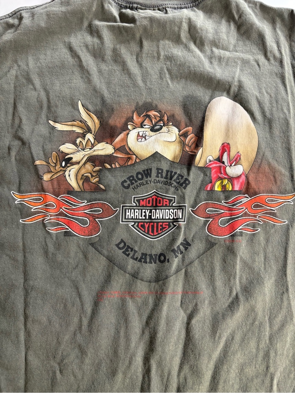 Harley-Davidson Looney Tunes Taz Stratman TShirt XL Delano, MN 2 Side Y2k - Picture 14 of 16